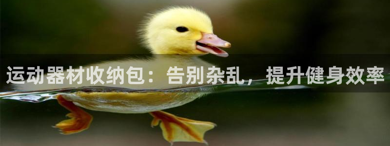 注册意昂3：运动器材收纳包：告别杂乱，提升健身效率