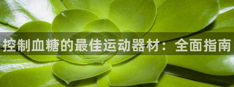意昂3娱乐平台：控制血糖的最佳运动器材：全面指南