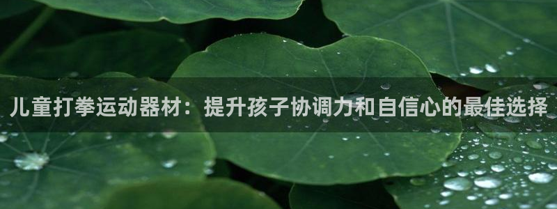 意昂3五金厂：儿童打拳运动器材：提升孩子协调力和自信心的最佳