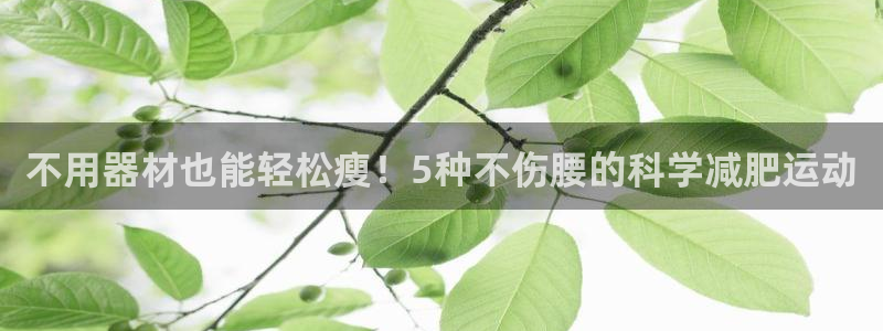意昂3集团官网首页网址：不用器材也能轻松瘦！5种不伤