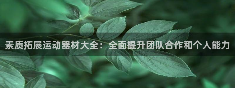 意昂体育3平台是正规平台吗：素质拓展运动器材大全：全