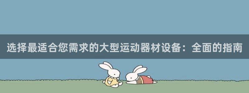 意昂3五金厂：选择最适合您需求的大型运动器材设备：全