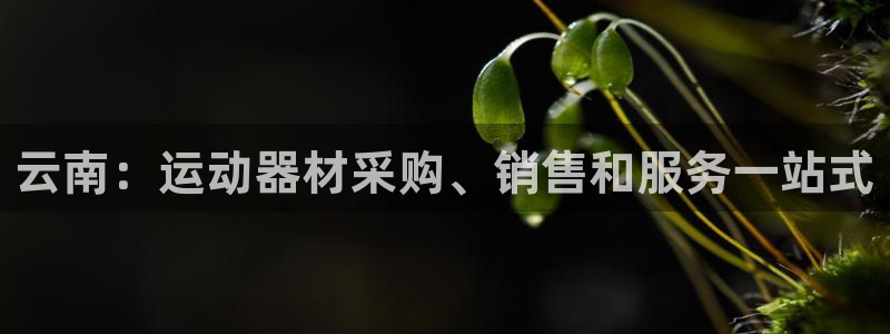 意昂体育3平台注册流程图：云南：运动器材采购、销售和