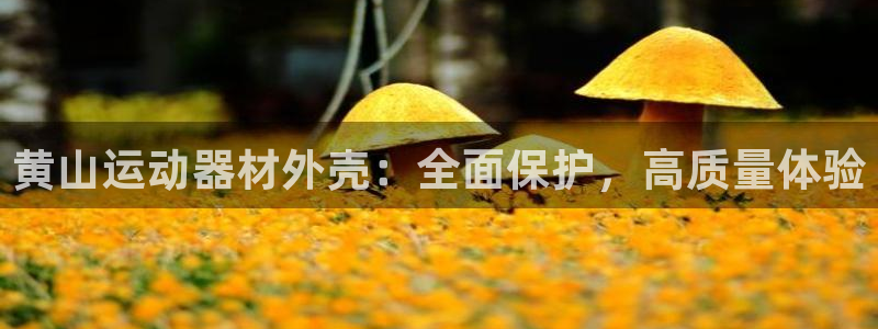 意昂体育3平台是正规平台吗：黄山运动器材外壳：全面保
