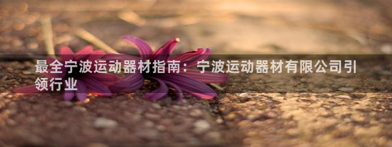 意昂3娱乐：最全宁波运动器材指南：宁波运动器材有限公