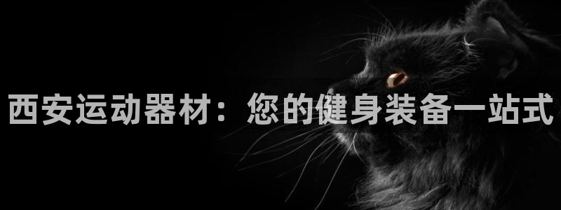 意昂3官网：西安运动器材：您的健身装备一站式