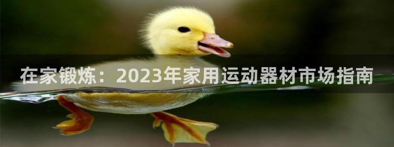 意昂体育3娱乐：在家锻炼：2023年家用运动器材市场