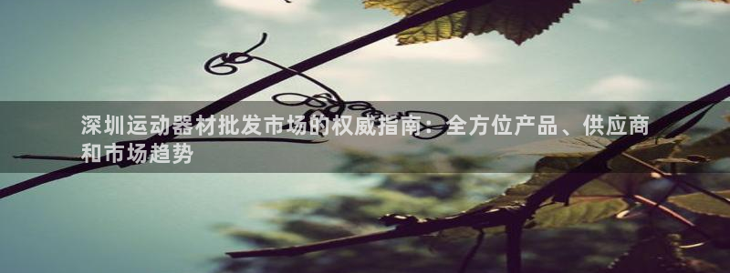 意昂3集团E.ON：深圳运动器材批发市场的权威指南：