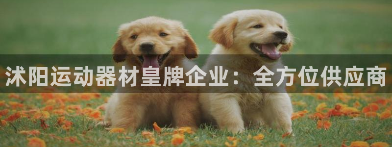 德国意昂3集团：沭阳运动器材皇牌企业：全方位供应商