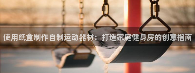 意昂3娱乐首页网站大全：使用纸盒制作自制运动器材：打