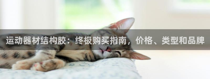 意昂3娱乐首页官网下载：运动器材结构胶：终极购买指南