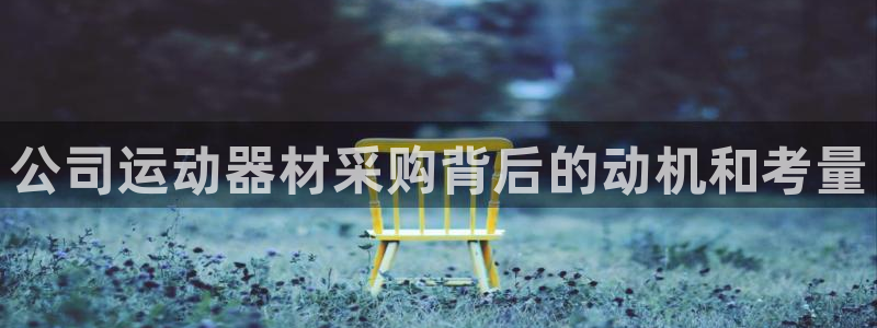 意昂体育3招商：公司运动器材采购背后的动机和考量