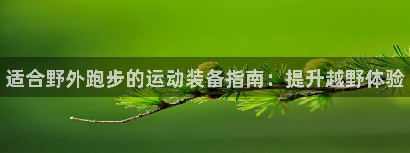 意昂体育3是干嘛的公司：适合野外跑步的运动装备指南：提升越野