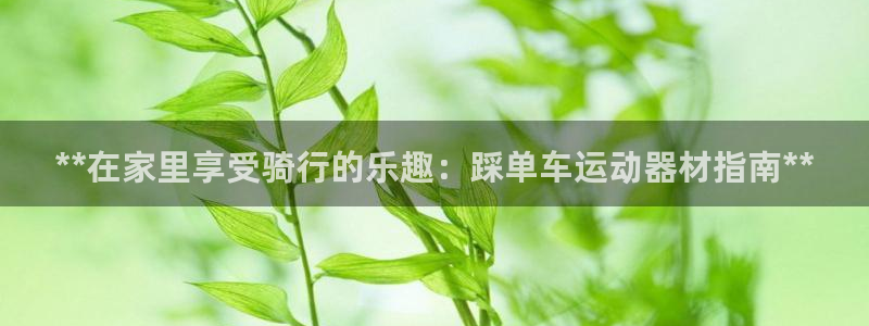 意昂3娱乐网站：**在家里享受骑行的乐趣：踩单车运动