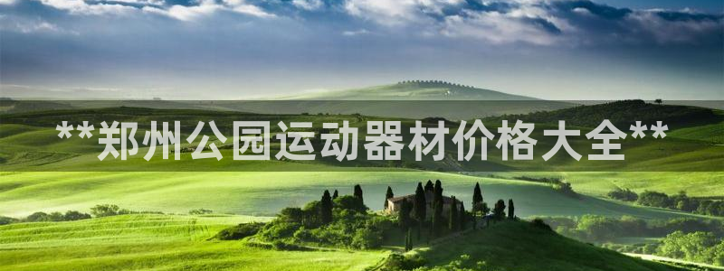 意昂3集团简介：**郑州公园运动器材价格大全**