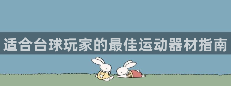 意昂3开户：适合台球玩家的最佳运动器材指南