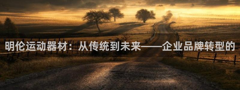 意昂体育3