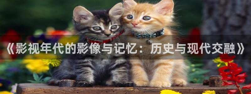 殇情影院4480：《影视年代的影像与记忆：历史与现代交融》