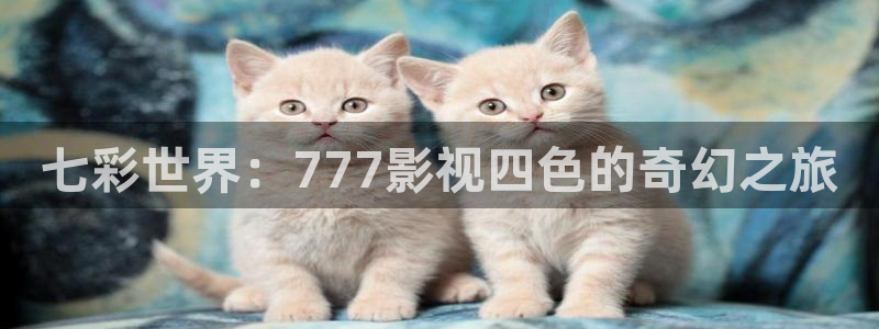 殇情影院理论：七彩世界：777影视四色的奇幻之旅