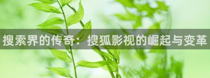 青苹果影院殇情：搜索界的传奇：搜狐影视的崛起与变革