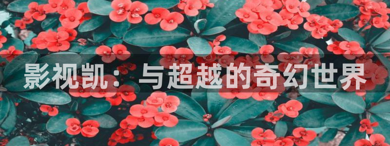yy殇情影院：影视凯：与超越的奇幻世界