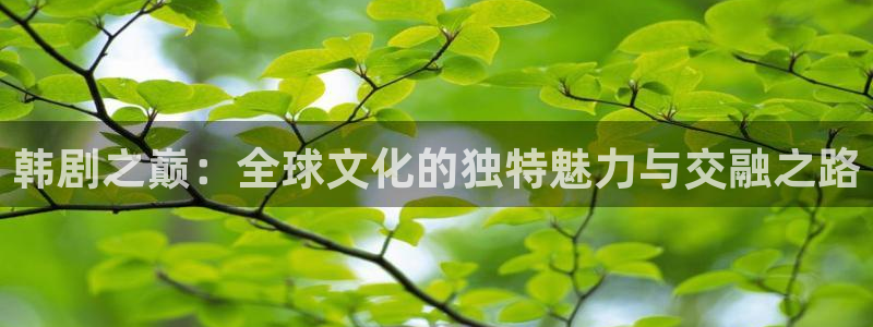 殇情私人影院：韩剧之巅：全球文化的独特魅力与交融之路