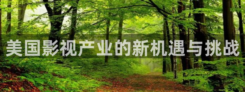 殇情影院yy6080：美国影视产业的新机遇与挑战