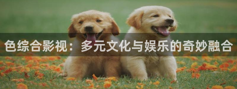 殇情影院4138理论片：色综合影视：多元文化与娱乐的奇妙融合